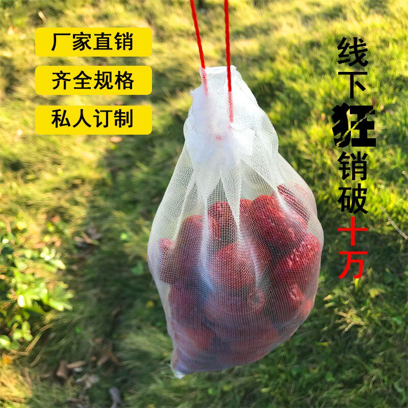 阳台族防鸟防虫尼龙网袋纱袋无花果水果葡萄套袋草莓火龙果|ruв категории доставка цветов/цветок моделирования/растения садоводства, садовых принадлежностей, других садовых принадлежностей - от Buy2taobao.com для оказания профессиональной услуги покупки агента Taobao