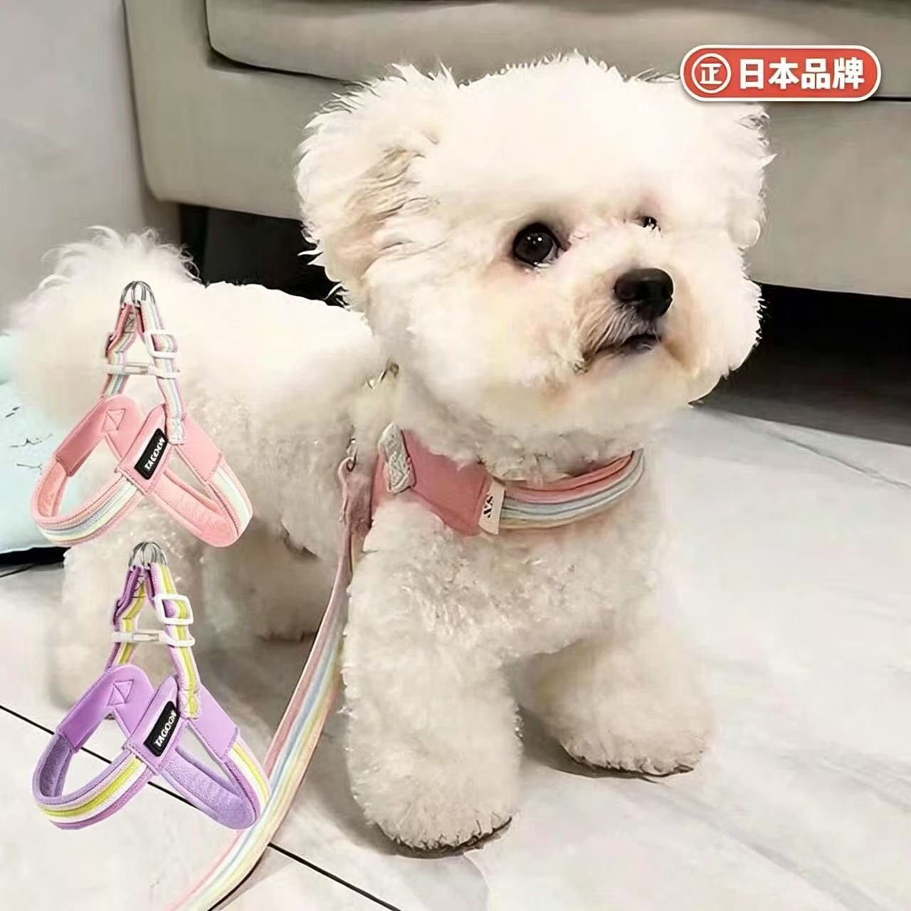 日本狗狗牵引绳胸背带套装透气背心式小型犬泰迪比熊外出遛狗绳子