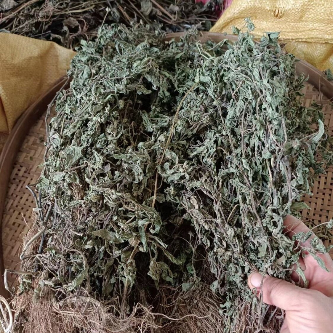墨旱莲草新晒干整株无硫干货乌田草旱莲草墨水草墨汁草包邮鳢肠草