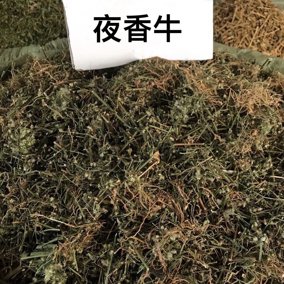 夜香牛天然潮汕消山虎 草中草药新货无硫干货寄色草清热防烧