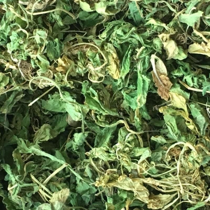 深山七星莲中草药潮汕人参草 新鲜茶匙黄干品干货匍伏堇 七星连