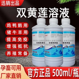 兽用双黄连口服液鸡鸭鹅猪牛羊增强免疫力双黄莲溶液孕畜可用中药