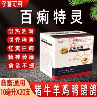 白头翁口服液猪牛羊百痢特灵兽用鸡鸭鹅调节肠胃改善肠道孕畜可用
