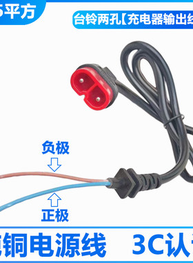 台铃电动车充电器云插头输出线电源线电瓶车充电口母座插座连接线