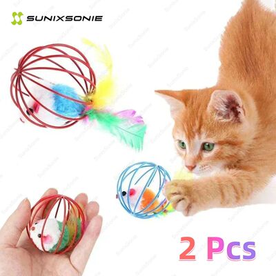 Cat Pet Toy - Random Color Mouse Ball Cage for Kittens - Pet