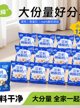【大包分享装】三纯烤酸奶皮儿童健康零食烤奶皮烤酸奶独立包装