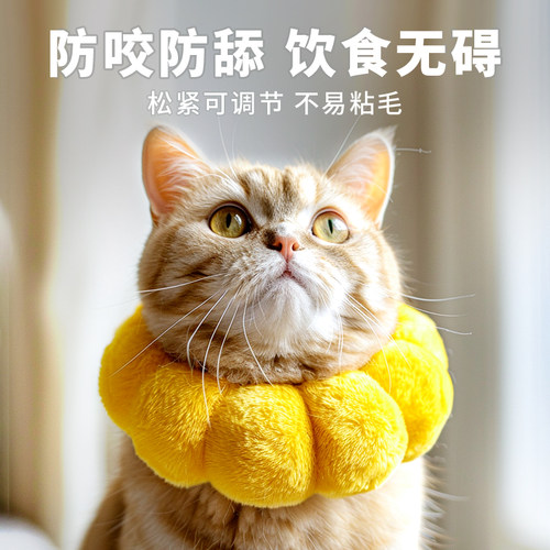 伊丽莎白圈绝育项圈猫脖圈狗脖圈