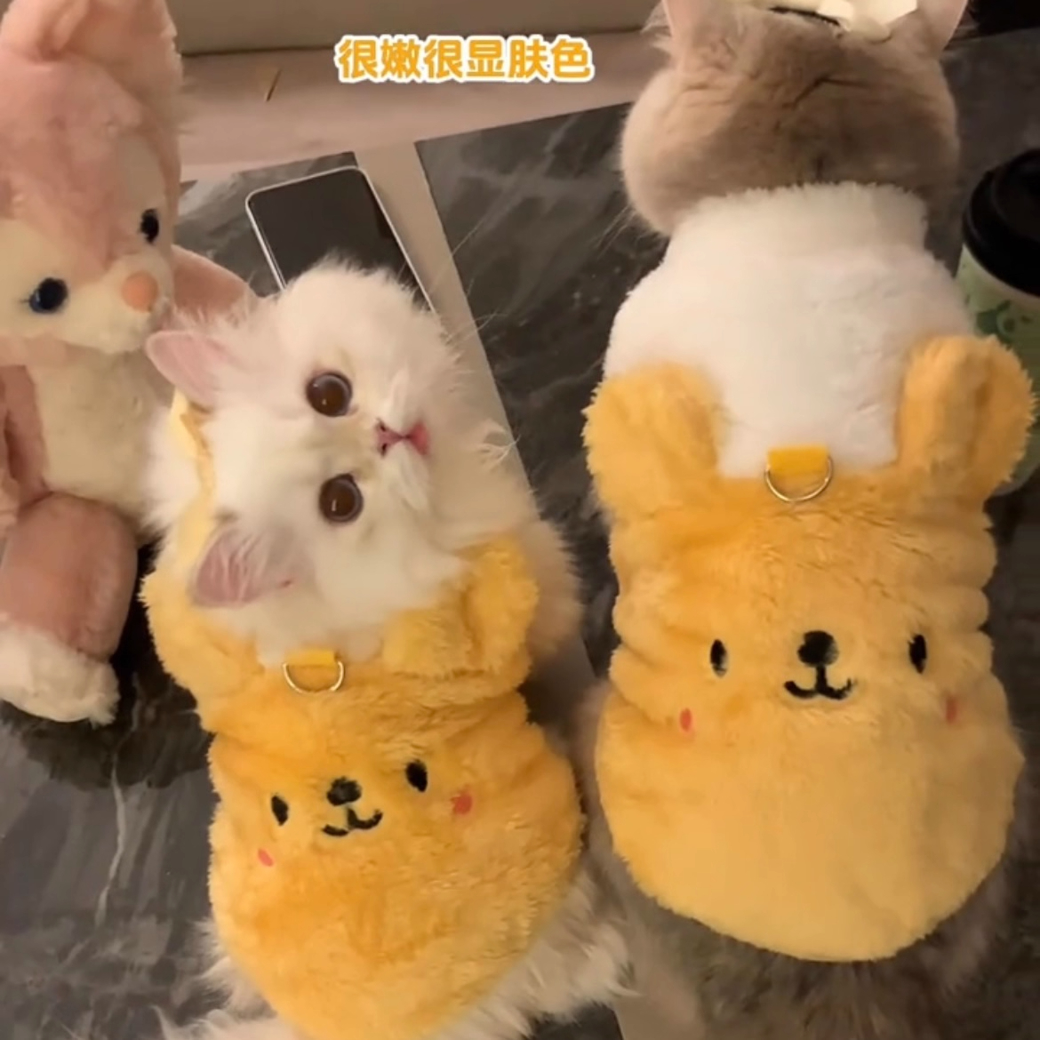 小猫衣服外出可牵引金吉拉幼猫可爱小熊绒衣蓝猫冬季保暖加厚背心