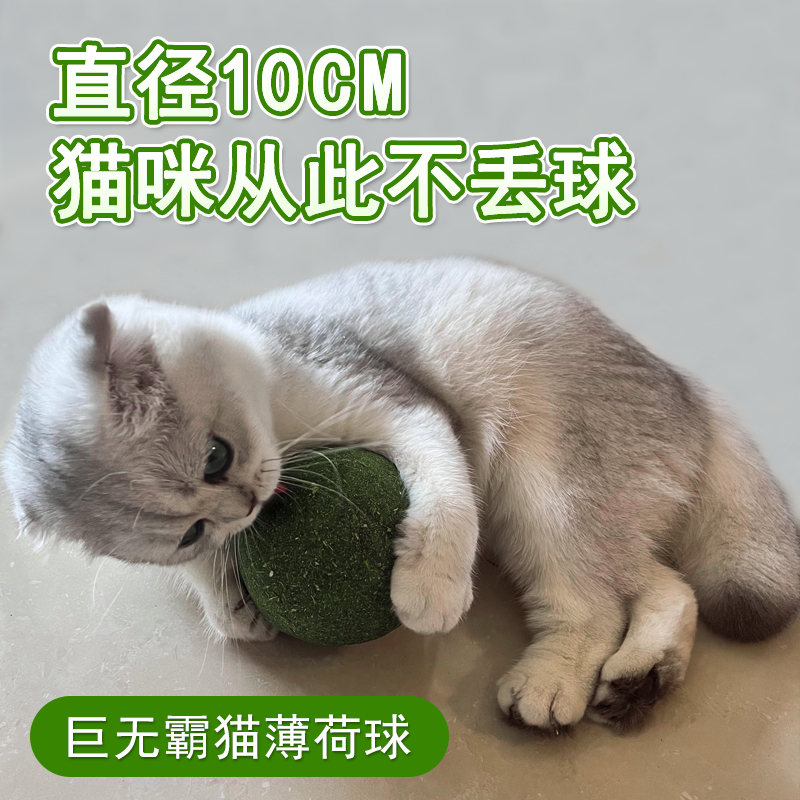 猫玩具猫薄荷球超大自嗨解闷神器耐咬逗猫棒磨牙洁齿化毛球猫用品 宠物/宠物食品及用品 逗猫棒 原图主图