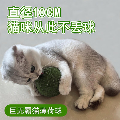 猫薄荷球磨牙洁齿化毛球自嗨解闷