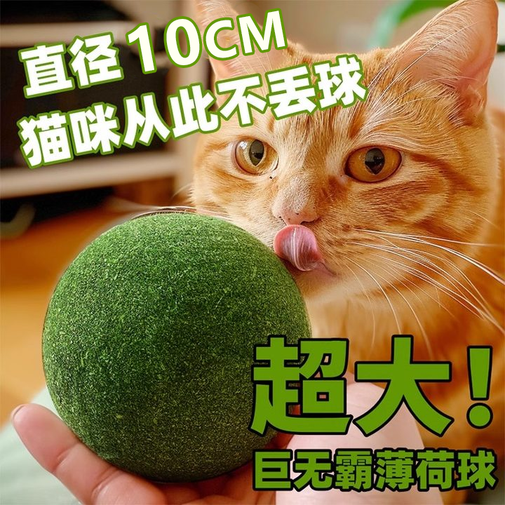 超大猫薄荷球小猫咪玩具逗猫棒宠物用品磨牙自嗨解闷消耗体力神器,宠物/宠物食品及用品,逗猫棒,淘宝优惠券,粉丝福利购,淘宝优惠卷