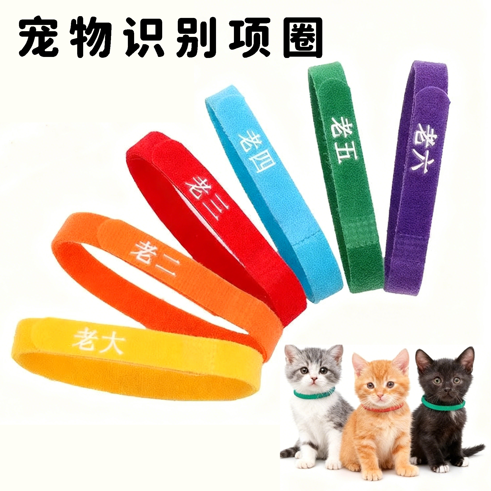 宠物猫狗项圈新生幼猫幼崽识别圈