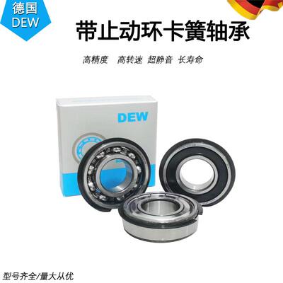 德国DEW进口带卡簧槽轴承6206 6207 6208 6209 6210 ZZ NR 止动环