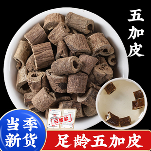 500g五加皮中药材新鲜干货五谷皮刺五加五加皮根片香料的功效