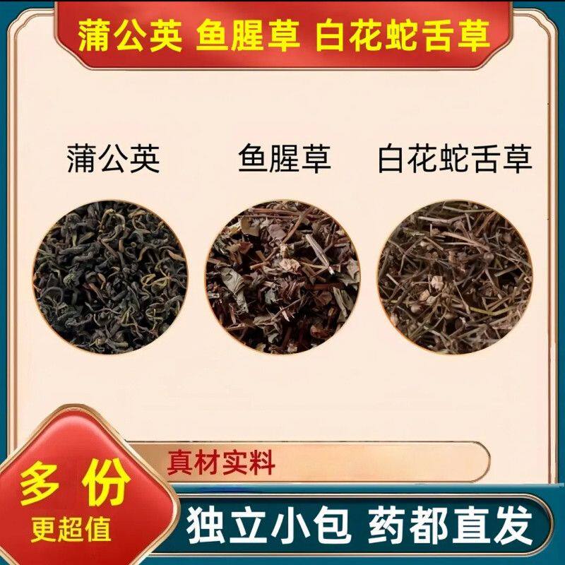 蒲公英鱼腥草白花蛇舌草中药材正品原材料的功效与作用浦公英干货