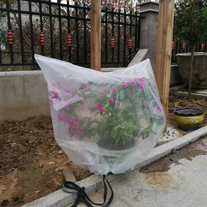 植物树木果树防寒防寒保温罩防风防霜雨雪保暖加厚塑料膜袋带绳子