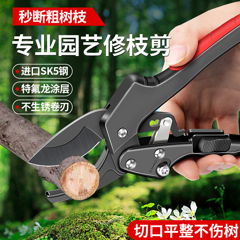 修枝剪园艺剪剪树枝果树图片