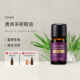 OAM茶树精油单方香薰纯天然植物室内持久家用扩香加湿器稀释按摩