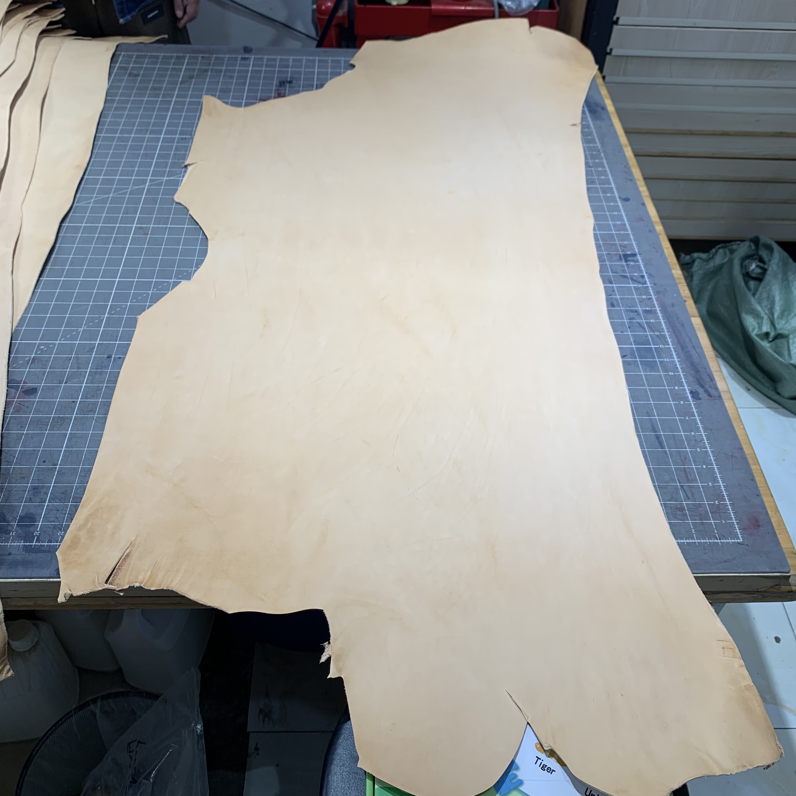 A级植鞣牛皮&密度好油脂高&适合皮雕皮塑&阿根廷sds原厂 肩背部位