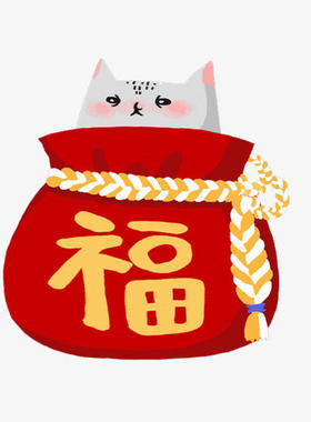 好货！国外5美金1包 大牌丝带 高品质 丝带福袋盲袋 手工DIY超值