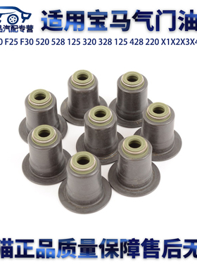 E84F10 F25 F30 520 528 125 320 328 125 428 220 X1X2X3X4X5Z4