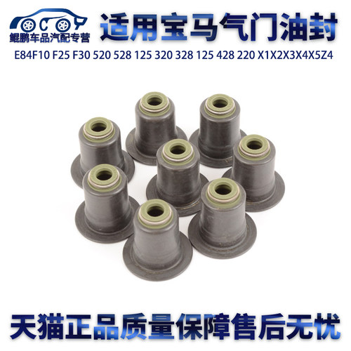 E84F10 F25 F30 520 528 125 320 328 125 428 220 X1X2X3X4X5Z4