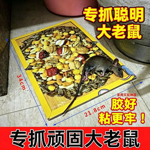 老鼠粘强力粘鼠板家用捕鼠器
