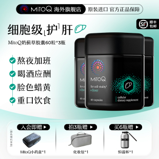 MitoQ官方奶蓟草护肝片胶囊加班熬夜肝脏进口保健品 3件巩固装