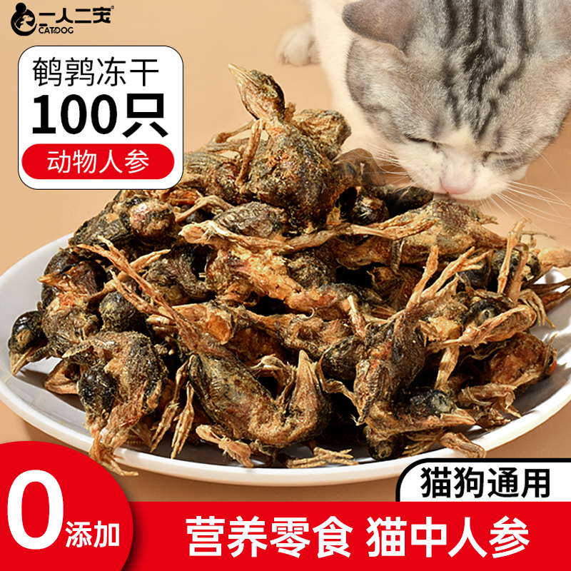 【100只】鹌鹑冻干猫营养零食