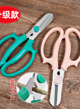 花艺剪刀修剪鲜花插花剪刀花枝剪裁纸打刺花艺师专用工具修枝花剪