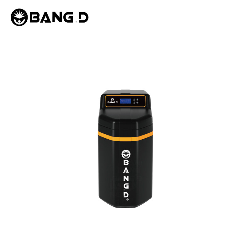 邦登美国邦登中央软水机大型家用全屋软水过滤净化 BD-100R-150