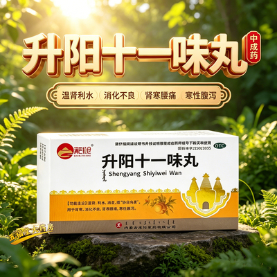[满巴扎仓]升阳十一味丸0.2g*60粒/盒消化不良消肿胃寒腰痛拉肚子