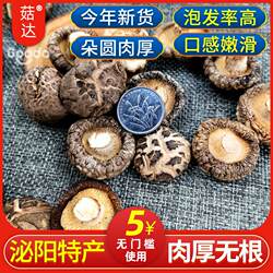 泌阳香菇干货 泌阳特产蘑菇 干香茹剪脚冬菇无根花菇金钱菇