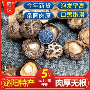 菇达 干香茹剪脚冬菇无根花菇金钱菇 香菇干货500g 泌阳特产蘑菇