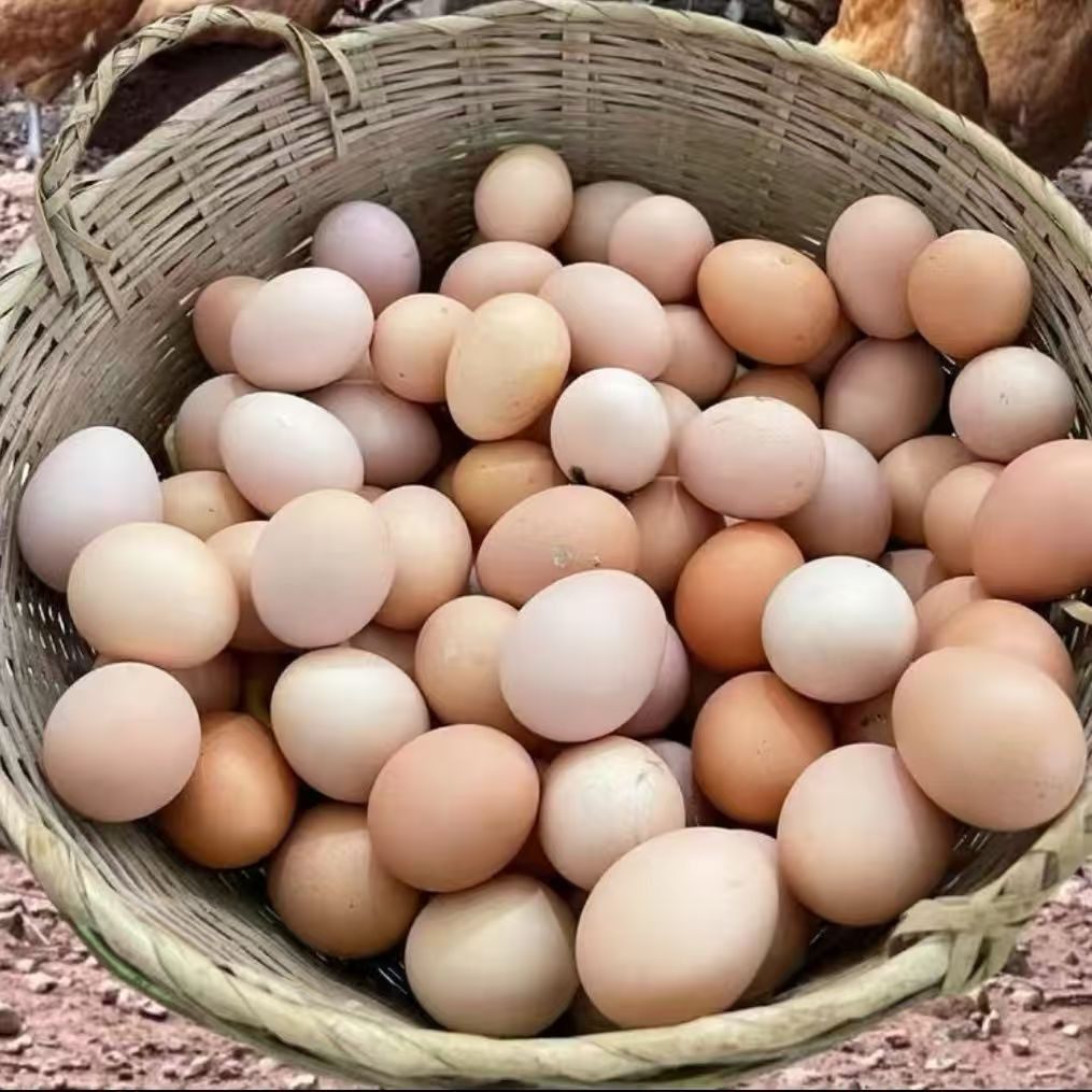 顺丰包邮50枚农家散养 粮食喂养 土鸡蛋,水产肉类/新鲜蔬果/熟食,鸡蛋,淘宝优惠券,粉丝福利购,淘宝优惠卷