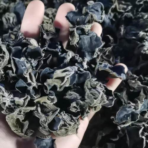 2025头茬木耳250克   无硫自然晾晒干