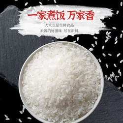 东北 东臻稻 涝洲大米2025新米 10斤