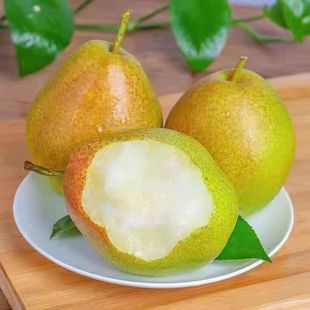 (某东包邮)阳信媚梨 酥脆清甜爆汁无渣 收到冷藏