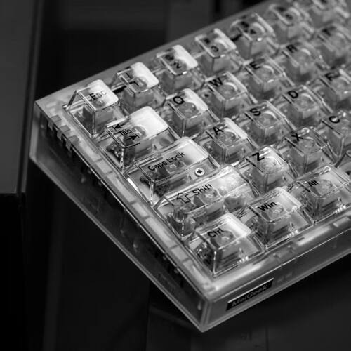 迈从Ace68EV63前行者X87小蜜蜂