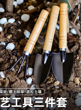 园艺铲子三件套盆栽小铲子种花工具养花松土室内家用园艺工具花铲