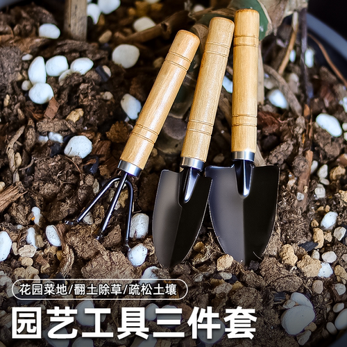 养花松土种植多肉盆栽小铲子套装