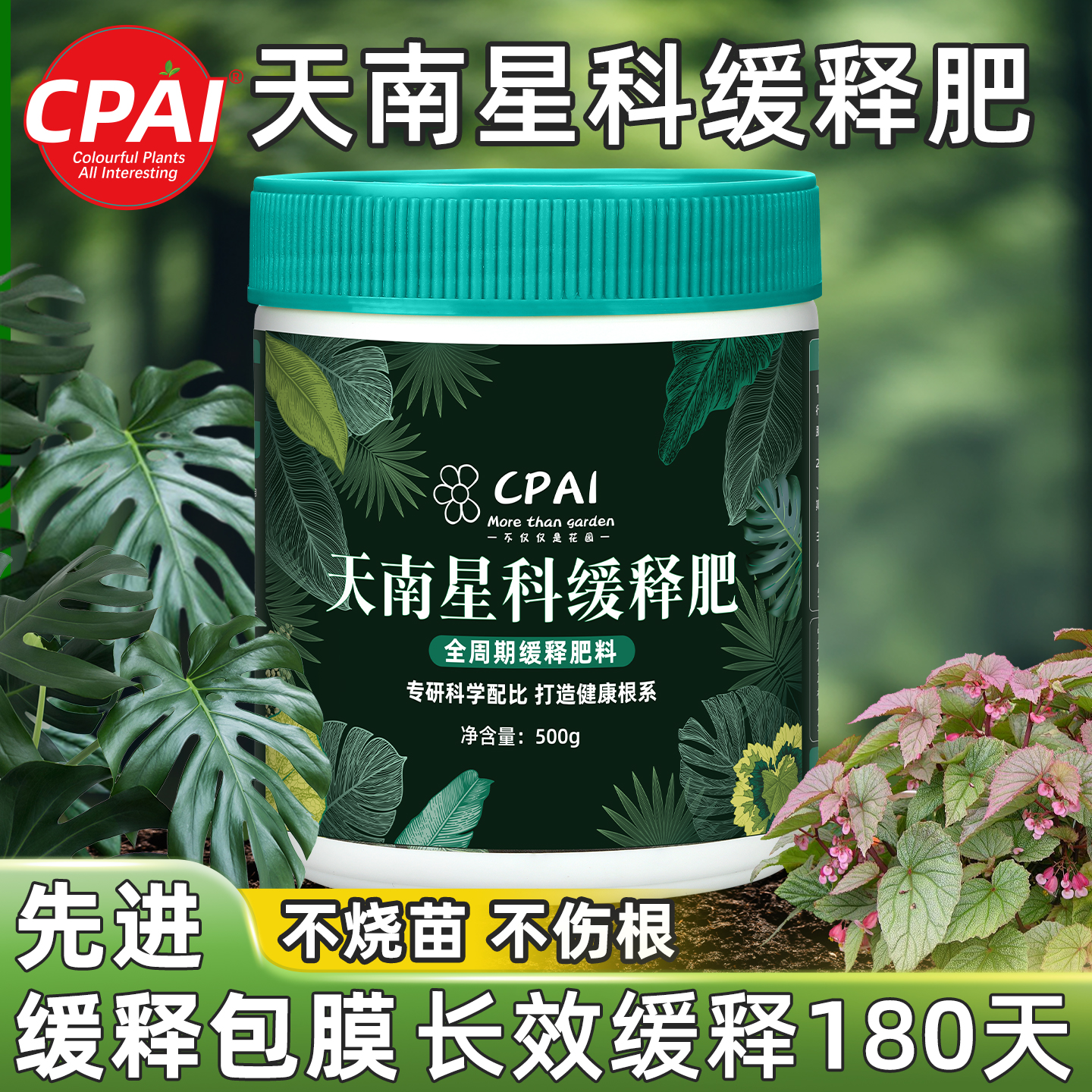天南星科植物专用缓释肥控释肥料