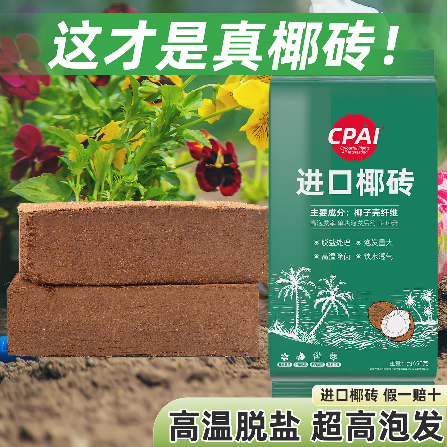 CPAI进口椰砖通用型种花养花土壤