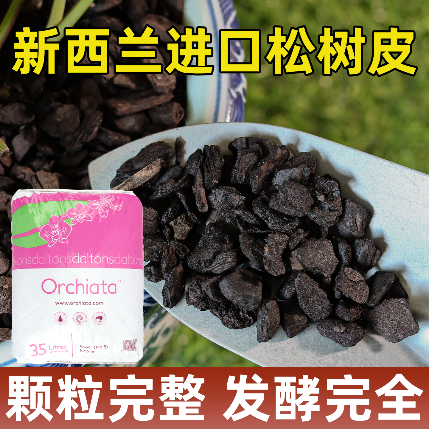 新西兰进口松树皮正品假一赔十