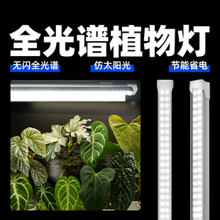 多肉植物补光灯全光谱上色仿太阳光家用植物生长灯室内热植防徒长