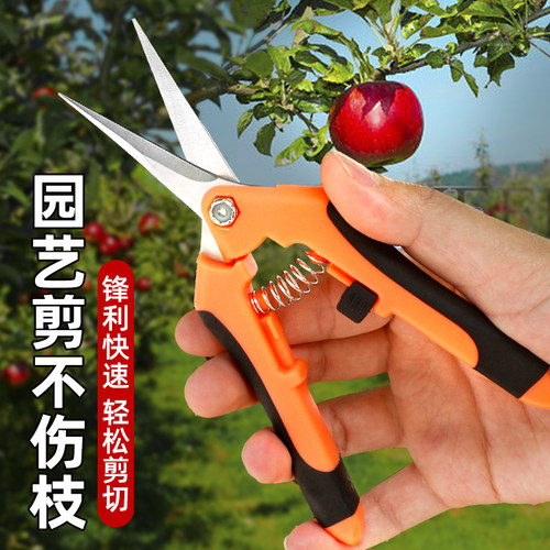 不锈钢园林修枝剪剪切直径达8mm