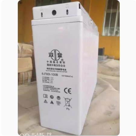双登狭长型12V100AH蓄电池6-FMX-100B太阳能光伏基站室外机柜备用