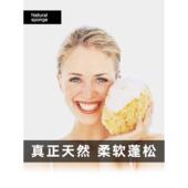 婴儿洗脸海绵希腊天然海绵洗脸面扑柔软洁面扑清洁天然蜂窝海藻棉