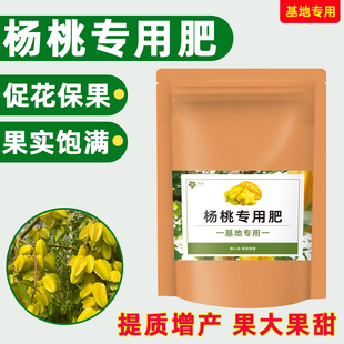 大袋装【杨桃专用肥】促花保果杨桃肥料阳桃树专用肥洋桃树有机肥