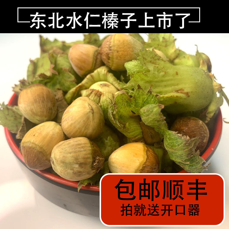 2021年 青皮榛子带绿皮水仁榛子 三斤装 五斤装 5斤青皮榛子在类目 零食/坚果/特产, 山核桃/坚果/炒货, 榛子中 - 来自Buy2taobao.com提供专业的淘宝代购服务
